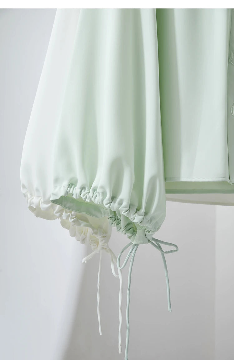 Chiffon Embroidered V-Neck Lantern Sleeve Blouse